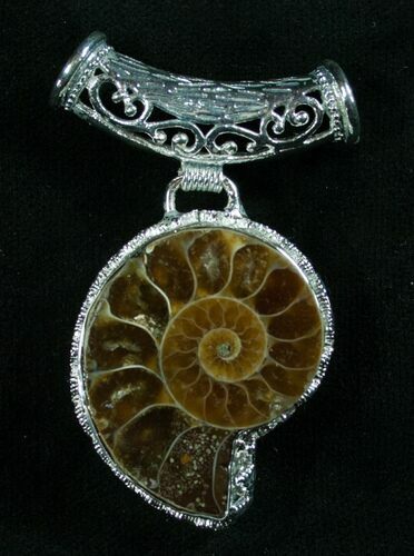 Fossil Ammonite Pendant - Million Years Old #8082